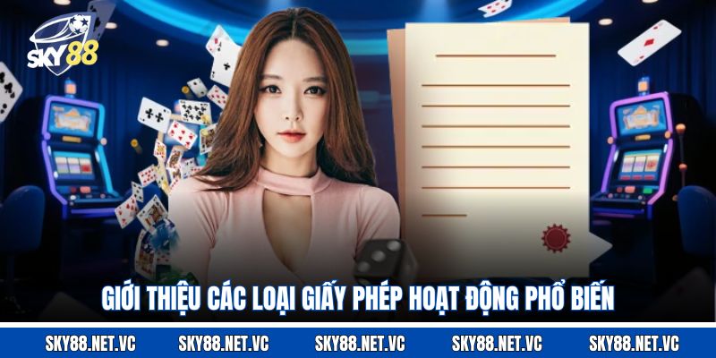 Giới thiệu các loại giấy phép hoạt động phổ biến